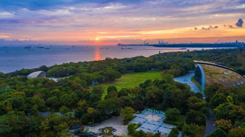 科创宝山 扬帆出海拓圈，奋力寻找新流量与创新增长极