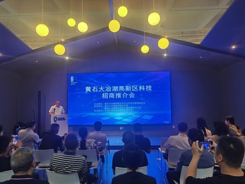 黄石大冶湖高新区 深化科技招商 赋能园区高质量发展